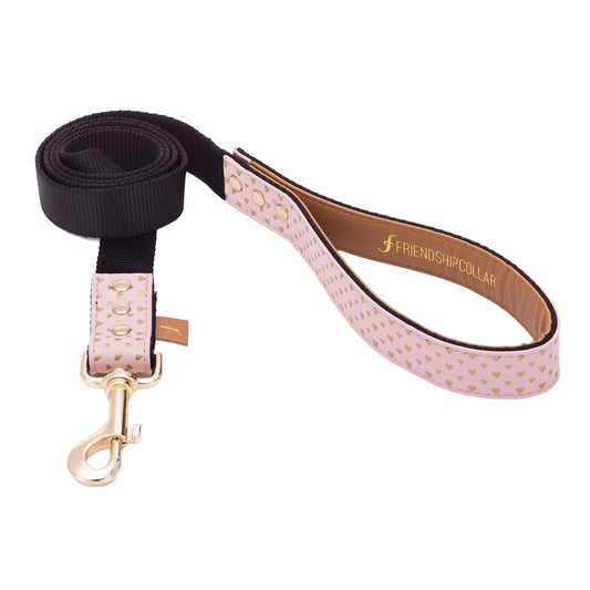 collier-laisse-chien-friendship-collar