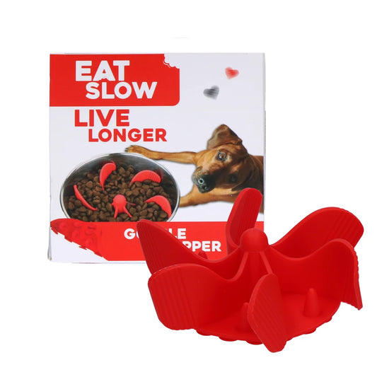 insert-anti-glouton-pour-chien-eat-slow-live-longer