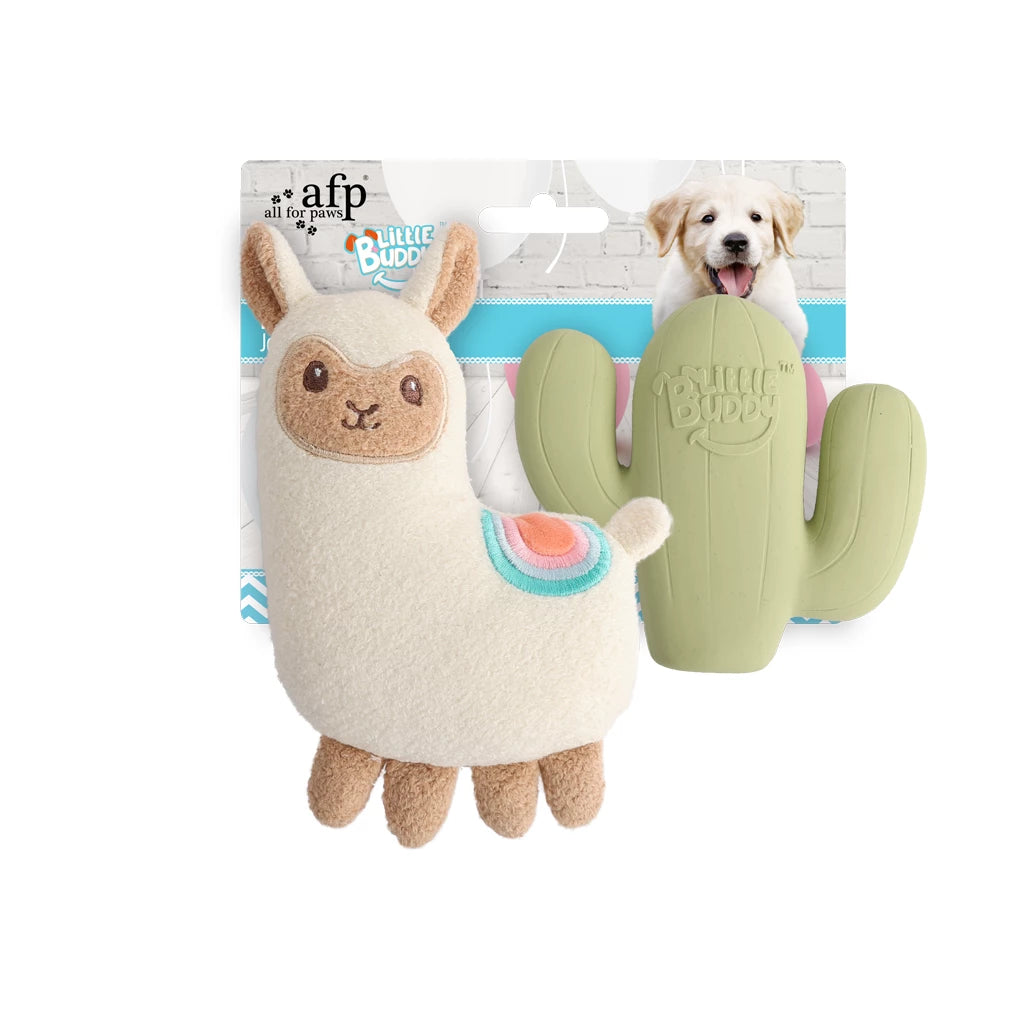 jouet-pour-chiot-afp-pratique
