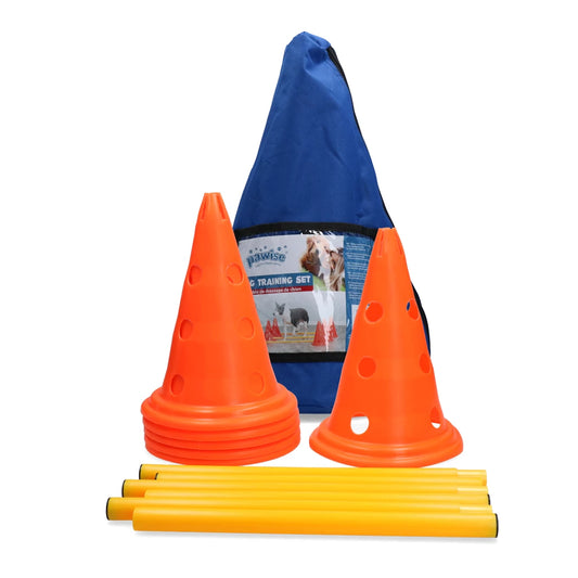 kit-agility-chien-pawise